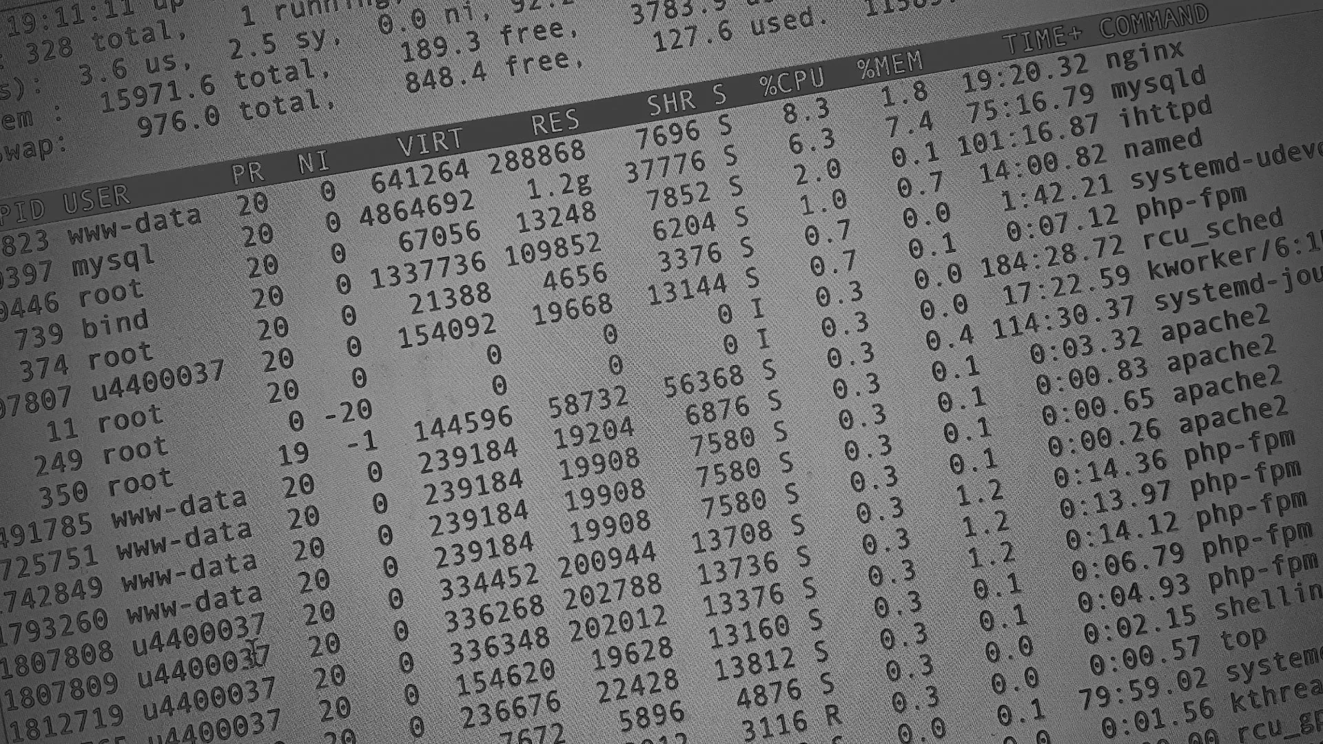 Настройка сервера в Суровикино